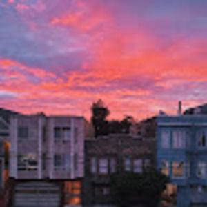 Meet your Posher, Sammy